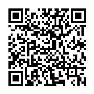 花雨露说过羊泰在这上古洞府之中学到过一招秘术二维码生成