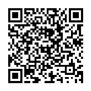 花颜将阮湘的穴道封住之后直接打晕了放在了榻上二维码生成