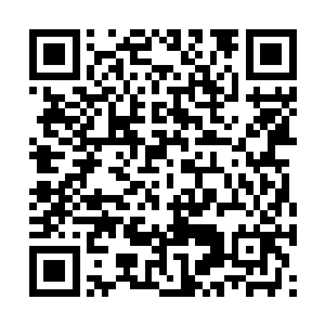 芸儿和你们不日便要前往后方仙域争夺天选者之称二维码生成