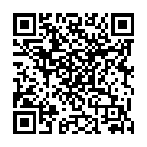 芸真恐怕是打算让自己当引诱妮妮和连云傲上当的诱饵吧二维码生成