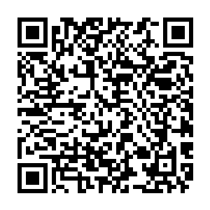 苍云圣火与血肉磨盘的组合在这神火谷中针对血河简直就是无解的必杀手段二维码生成