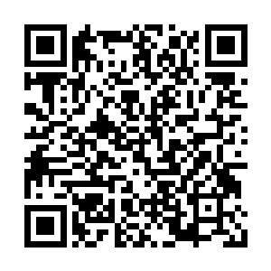 苍兰正瞪着一双警惕的大眼睛默默的注视着她们二维码生成