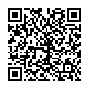 苍南村的两百村民在经历两年的战争之后只剩下不到一半了二维码生成