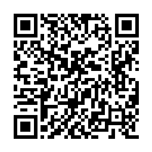 苍岳宗的苍王和岳王一直都是执掌苍岳宗的人选二维码生成