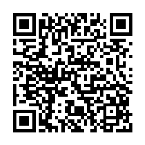 苍月的洞府处在苍岳宗秘境之中的中央山脉深处二维码生成