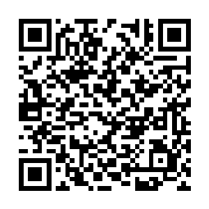 苍澜宗的两个仙帝后期巅峰中的一个便被打得吐血二维码生成