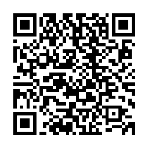 苍澜宗的唯一一个人尊期大修士图生辉也击败了一个仙帝后期二维码生成