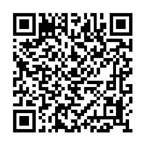 苍澜宗的第二个仙帝后期巅峰在第五轮被淘汰了二维码生成