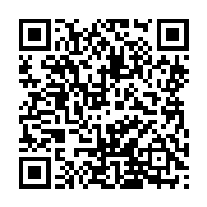 苍生印老怪物低沉威严的声音就在脑海中响了起来二维码生成