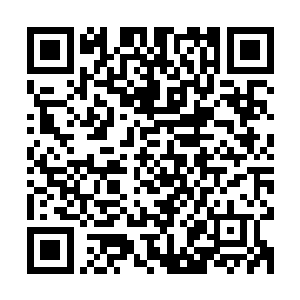 苍白的少女望着眼前荒凉的山野和昏迷中的唯一可以依靠的侍卫二维码生成