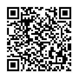 苍真正的目的……就是想让远吕智发动一次快速的二维码生成