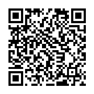 苍穹之上的那位三十六洞天福地的尊者此刻冷哼了一声二维码生成