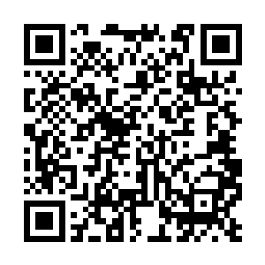 苍老的面庞上不由得露出了一抹意味深长的笑容来二维码生成