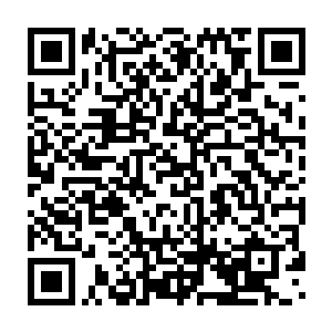 苍茫山主人进了璃城这么大的事情想要做到神不知鬼不觉根本就不可能二维码生成