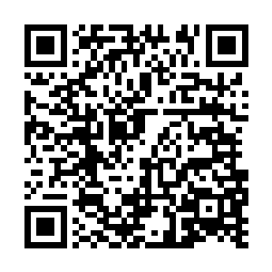 苍茫山的人从来没有认为自己的势力不如定王府过二维码生成