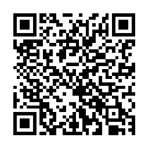 苍茫山的人怎么会这个时候下山…距上一次已经有七十多年了吧二维码生成