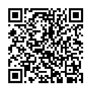 苍茫山的先人手杂上也毫不意外的狠狠地记了定王府一笔二维码生成