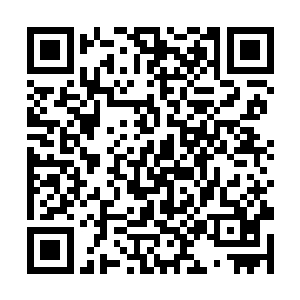 苍茫山覆灭之后他们自然就跟着身为少主人的东方幽二维码生成