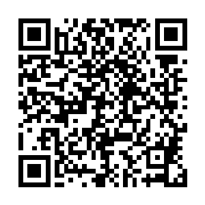 苏丛盛不禁想到了祖上那个被神仙接去了青阳洞修仙的祖宗二维码生成