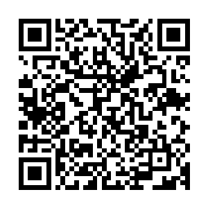 苏佳怡对梓箐的恨已经从单纯的要为世界之主完成任务干掉梓箐二维码生成