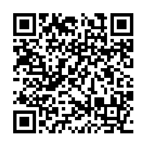 苏元也是跟自己的儿子提及了一下这个方面的事情二维码生成