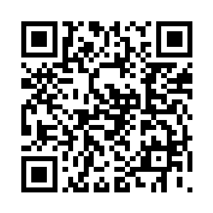 苏军指挥部的战役目的是彻底消灭入侵波军二维码生成
