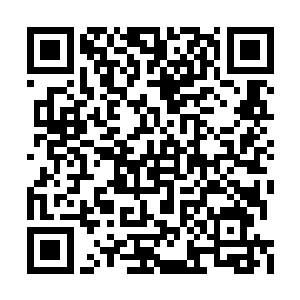 苏凡之前果断的出手风格已经将他完全震慑住了二维码生成