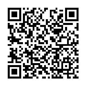 苏凡也是一手按下了其中的一个代表着武器的按钮二维码生成