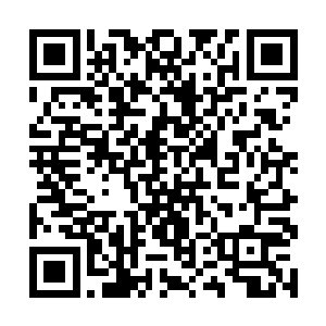 苏凡刚才一瞬间展露出来的能力让萧腾略微有些心慌二维码生成