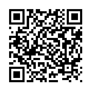 苏凡可不相信他们是这些人的对手二维码生成