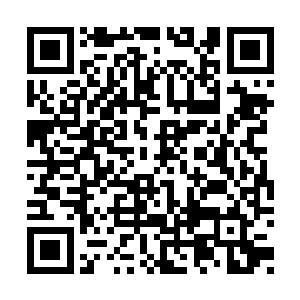 苏凡和龙王见到越来越多的人朝着东方浩然靠近二维码生成