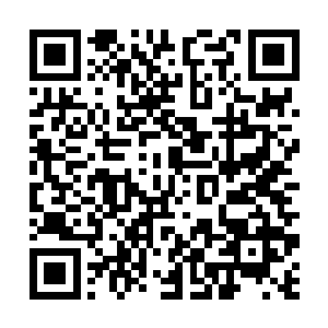 苏凡在第一次见到刺刀的时候就觉得这家伙很是亲近二维码生成