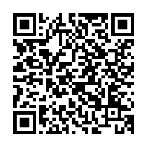 苏凡完全是以一种常人根本无法理解的速度冲进了总部建筑之内二维码生成
