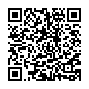 苏凡将刺刀讲述的那一日的事情重新给罗伊讲了一遍二维码生成