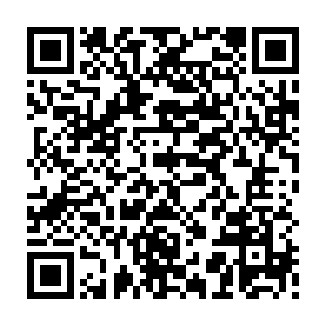 苏凡就不信黑暗教廷能在那么仓促的几个小时之内改变已经布置了很久的计划二维码生成