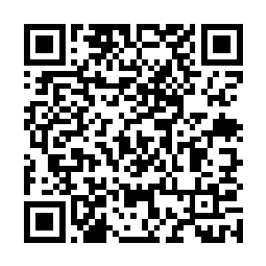 苏凡才知道布鲁克家族的罗克特身为布鲁克家族的次子二维码生成