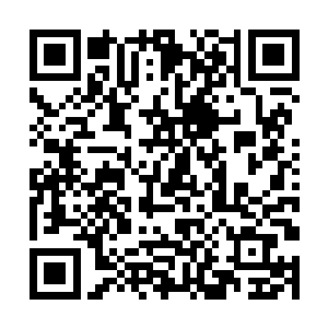 苏凡把之前下午在赌场交接到的别墅钥匙扔给王甲第二维码生成