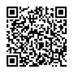 苏凡正带着昨晚刚刚臣服的银来到英伦某家高级餐厅二维码生成