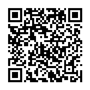 苏凡此刻就带着众人缓缓的朝着自己的房间过去了二维码生成