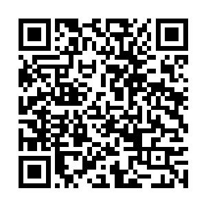 苏凡派出去的一个小弟恰巧将这一切都听到了耳中二维码生成