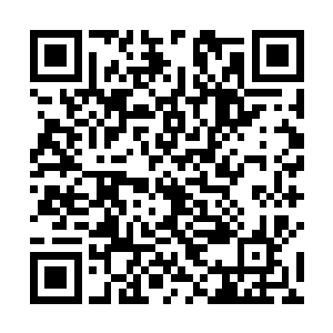 苏凡派出去跟着这些人的手下正躲在山坡上的一个树上二维码生成