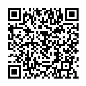 苏凡的这句话的意思好像是明天还会有什么任务二维码生成