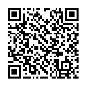 苏凡相信那群那些跳梁小丑肯定会忍不住的跳出来二维码生成