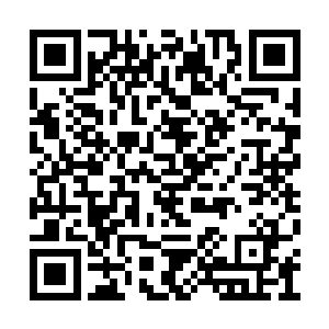 苏凡看着另一边还在大杀四方的众人淡淡的说道二维码生成