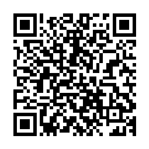 苏凡瞬间也是伸出了自己的拳头朝着卡奴基斯的拳头迎了上去二维码生成