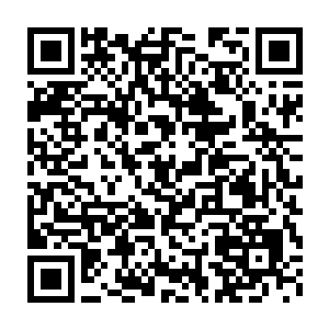 苏凡等人才在路易斯的示意之从另一个出口出道了圣彼得大教堂的外面二维码生成
