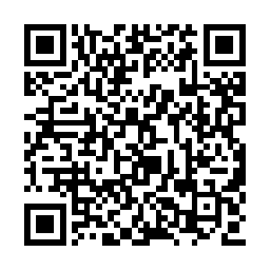 苏凡终于知道刺刀这家伙的吃相是怎么回事儿了二维码生成