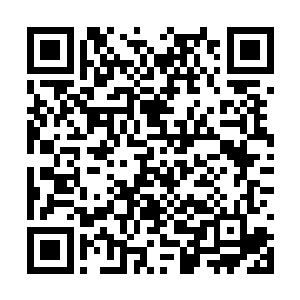 苏凡给他造成的心理阴影在这种时候又暴露了出来二维码生成