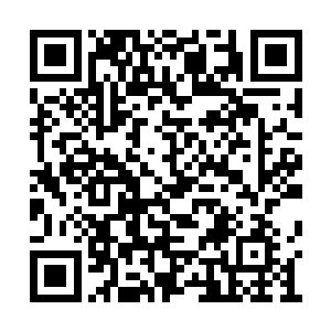 苏凡自己是真的不知道那盒子里面装着什么东西二维码生成