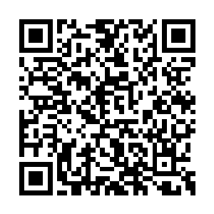 苏凡迅速的将自己的双臂护在了自己的脑袋之上二维码生成